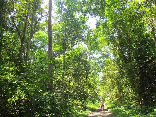 1. Villagers cycle to and fro through the Hoollongapar Gibbon Sanctuary